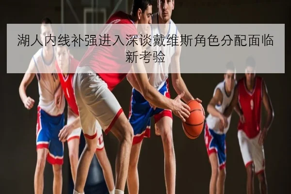 湖人内线补强进入深谈戴维斯角色分配面临新考验