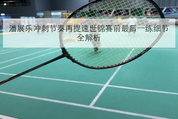 潘展乐冲刺节奏再提速世锦赛前最后一练细节全解析